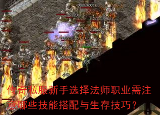 ����˽������ѡ��ʦְҵ��ע����Щ���ܴ��������漼�ɣ�