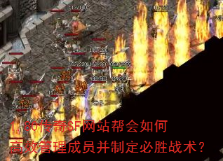 1.80����SF��վ�����θ�Ч������Ա���ƶ���ʤս����