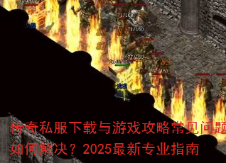 ����˽����������Ϸ���Գ���������ν����2025����רҵָ��