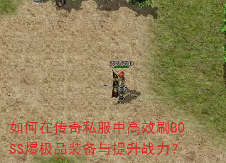 ����ڴ���˽���и�ЧˢBOSS����Ʒװ��������ս����