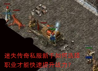 ��ʧ����˽���������ѡ��ְҵ���ܿ�������ս����