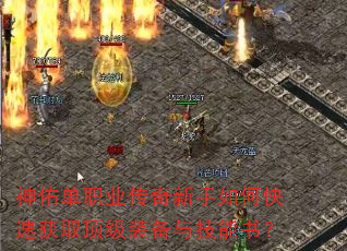 ���ӵ�ְҵ����������ο��ٻ�ȡ����װ���뼼���飿