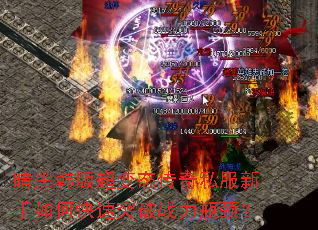 ���ں��泬��̬����˽��������ο���ͻ��ս��ƿ����