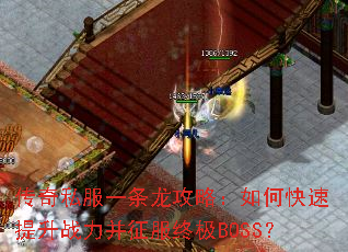 ����˽��һ�������ԣ���ο�������ս���������ռ�BOSS��