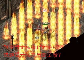 ��䴫��˽��sf������ο�������ս����ˢװ����