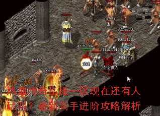 ��Ѫ����˽��һ�����ڻ������������¸��ֽ��׹��Խ���