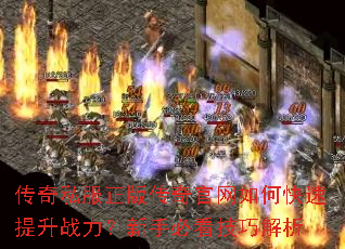 ����˽�����洫�������ο�������ս�������ֱؿ����ɽ���