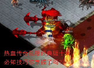 ��Ѫ����˽�������ʮ���֪��������������
