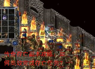 ��������������ԣ���θ�Ч��ɴ�������