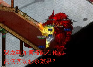 ˫��ն��δ���ʯ���Ӹ���ʵ����ɱЧ����