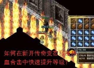 ������¿������̬˽����Ѫ�ϻ��п��������ȼ���