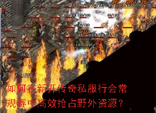 ������¿�����˽���л᳣�����и�Ч��ռҰ����Դ��