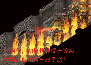 �ֵ��ǣ���ο��������ȼ��ư���Ѫ����˽�����Σ�