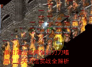 ���������������������Ѫ�����쵶��ʵսȫ����