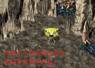 �����в�ͬ���ޱ���ɱ���ܻ����Щ���棿