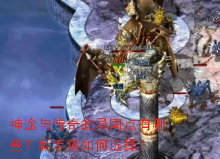 ��;�봫�����ͬ������Щ�����ָ����ѡ��