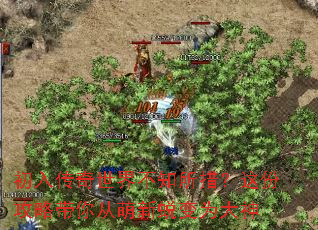 ���봫�����粻֪���룿��ݹ��Դ���������ɱ�Ϊ����