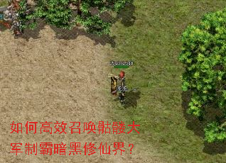 ��θ�Ч�ٻ����ô���ư԰������ɽ磿