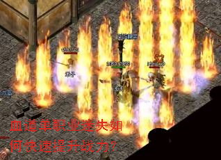 Ѫ����ְҵ��ʧ��ο�������ս����