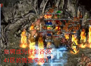 ��γ�Ϊ�񽣹�3641���Ķ�����ܣ�