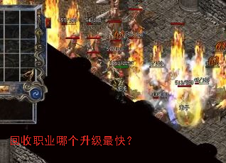����ְҵ�ĸ�������죿