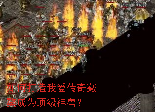 ��δ����Ұ���������Ϊ�������ޣ�