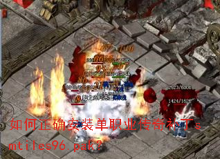 �����ȷ��װ��ְҵ���油��smtiles96.pak��