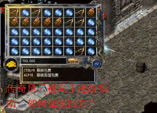 ������ư���ֽ���ָ�ϣ������ս�ķ���