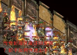 �����·�������ϸ���裿������ο������֣�