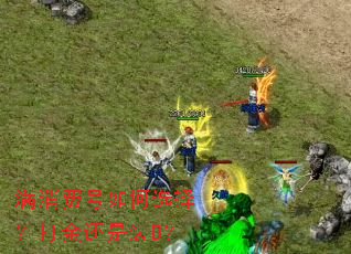 �����Ѻ����ѡ�񣿴����װB��