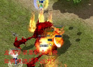 ������¼��ְҵ������ο�������ս����
