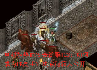 �������Ѫ�����·�123����γ�ΪPK���֣������ؼ��󹫿�