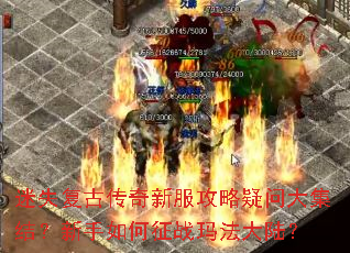 ��ʧ���Ŵ����·��������ʴ󼯽᣿���������ս�귨��½��