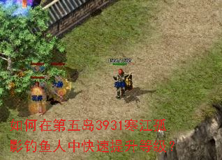 ����ڵ��嵺3931������Ӱ�������п��������ȼ���