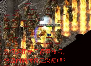 ����������Ŷݼ׼��ɣ������ʶ����潭���۷壿