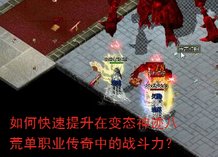 ��ο��������ڱ�̬�񼣰˻ĵ�ְҵ�����е�ս������