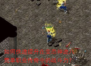 ��ο��������ڱ�̬�񼣰˻ĵ�ְҵ�����е�ս������