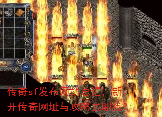 ����sf������վ�ܻ㣬�¿�������ַ�빥��ȥ���ң�