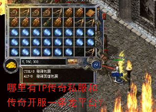 ������IP����˽���ʹ��濪��һ����ƽ̨��