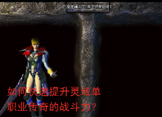 如何快速提升灵域单职业传奇的战斗力? 如何快速提升灵域单职业传奇的战斗力?