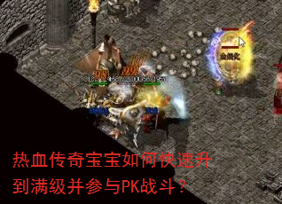 热血传奇宝宝如何快速升到满级并参与PK战斗? 热血传奇宝宝如何快速升到满级并参与PK战斗?