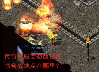 ����˽����̬�漼����ϳɵص������