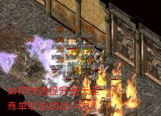 如何快速提升通天至尊单职业的战斗力? 如何快速提升通天至尊单职业的战斗力?