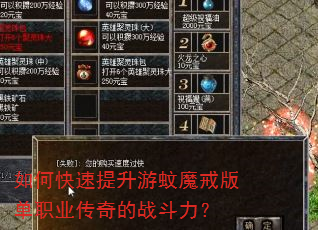 如何快速提升游蚊魔戒版单职业传奇的战斗力? 如何快速提升游蚊魔戒版单职业传奇的战斗力?