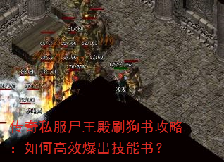传奇私服尸王殿刷狗书攻略:如何高效爆出技能书? 传奇私服尸王殿刷狗书攻略:如何高效爆出技能书?