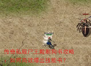 传奇私服尸王殿刷狗书攻略:如何高效爆出技能书? 传奇私服尸王殿刷狗书攻略:如何高效爆出技能书?