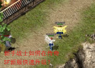 新手战士如何在传奇SF新服快速升级? 新手战士如何在传奇SF新服快速升级?