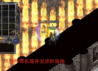 ��Ѫ����˽����������ָ��