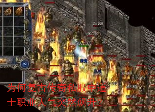 为何复古传奇私服中道士职业人气突然飙升? 为何复古传奇私服中道士职业人气突然飙升?