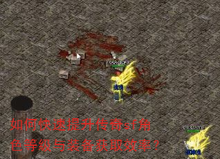 如何快速提升传奇sf角色等级与装备获取效率? 如何快速提升传奇sf角色等级与装备获取效率?